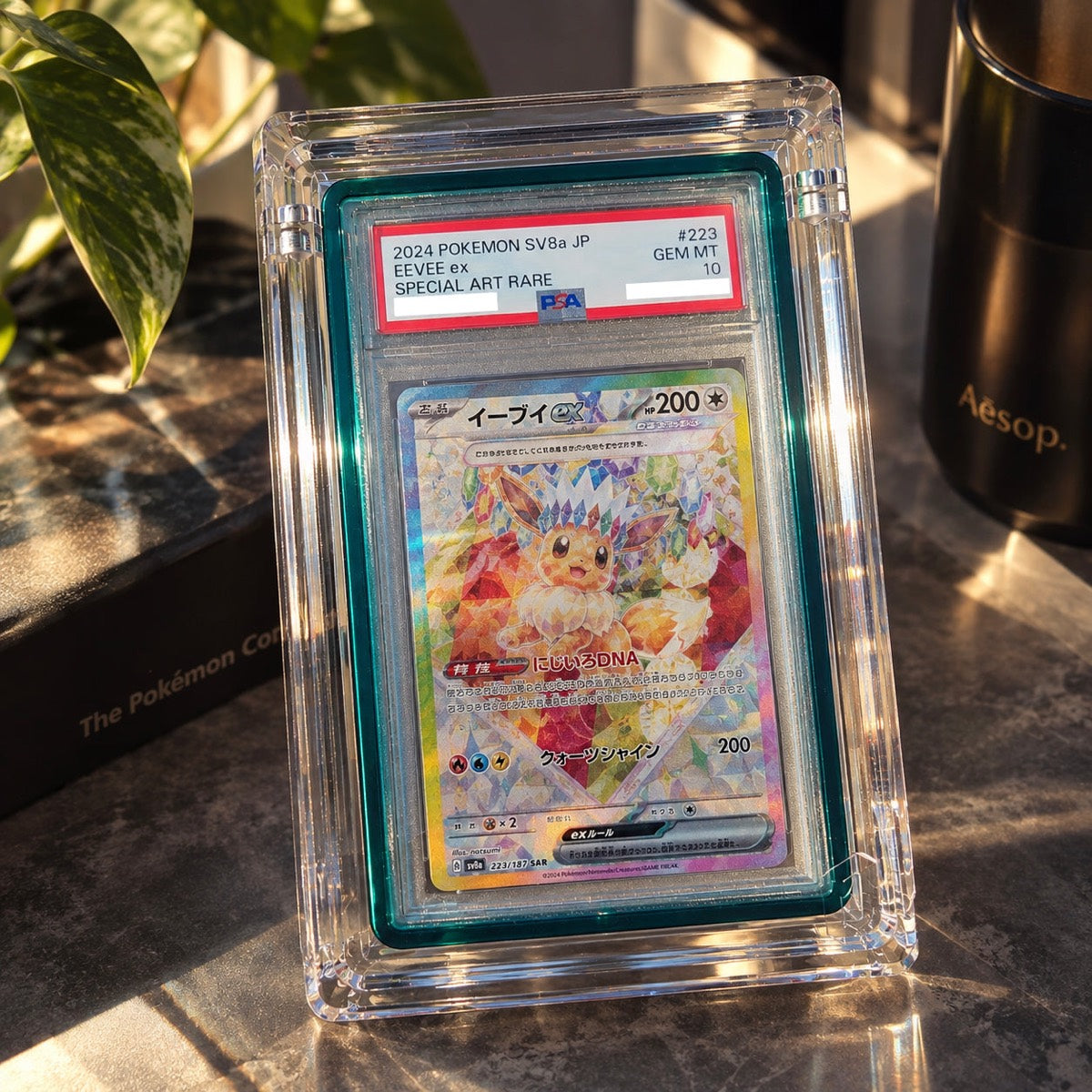 A PSA 10 Eevee ex slab in a GX Slab Display on a sunlit counter